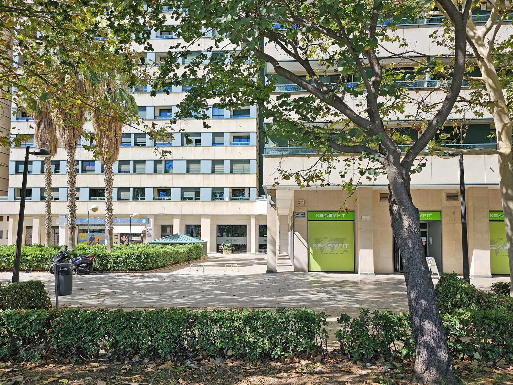 Apartment Ciencias G *